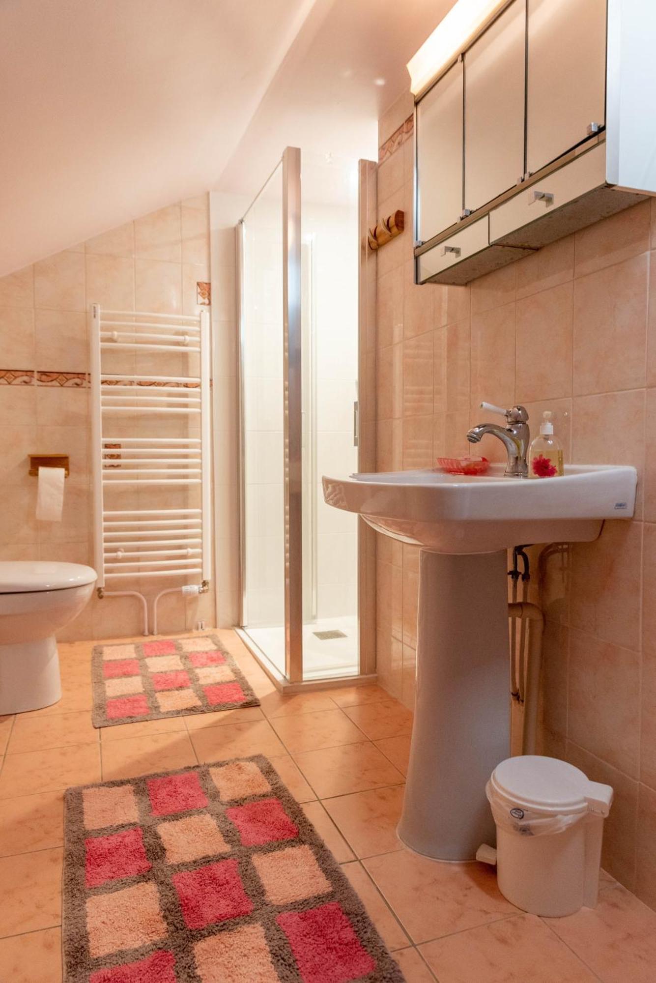 La Maison De Mireille Villa Le Puy-en-Velay ภายนอก รูปภาพ
